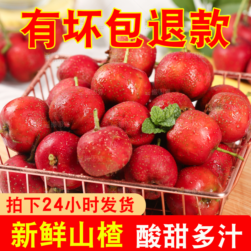 浅底上的新鲜山楂