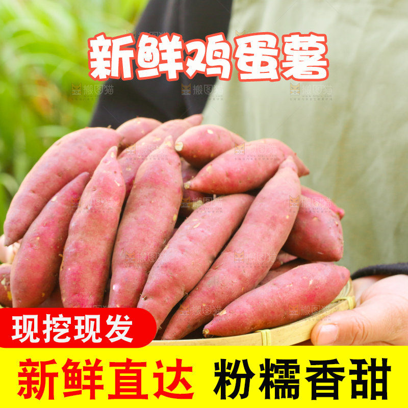 手里拿着小香薯