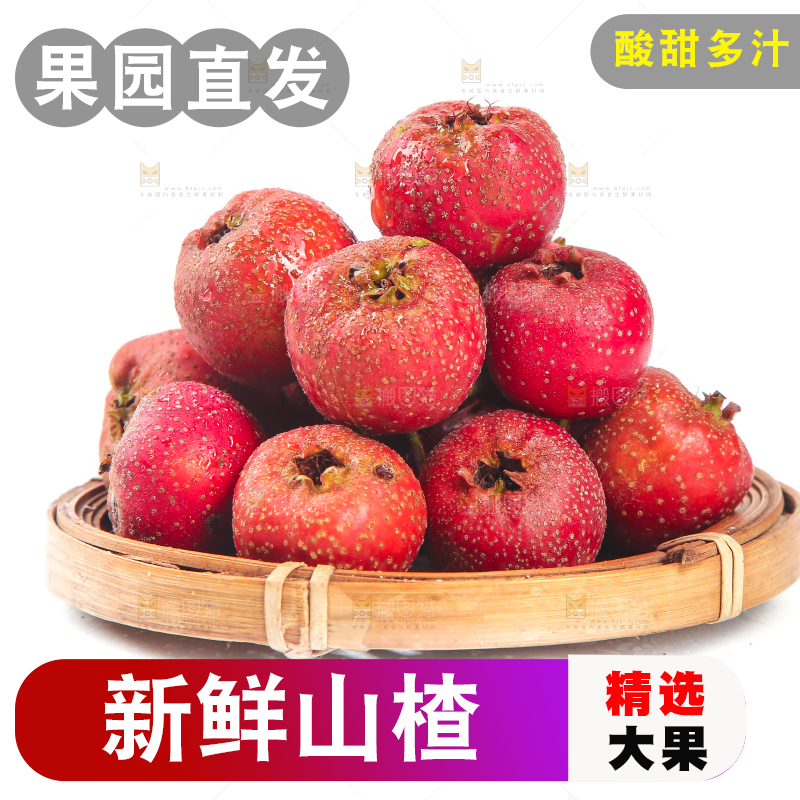白底上的新鲜山楂