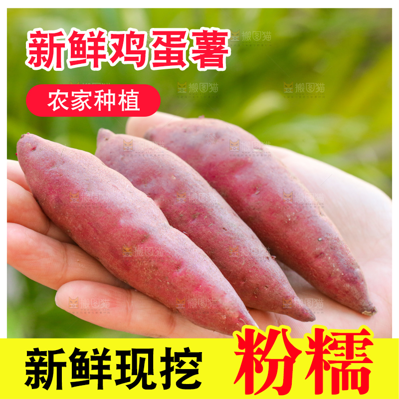 手里拿着小香薯