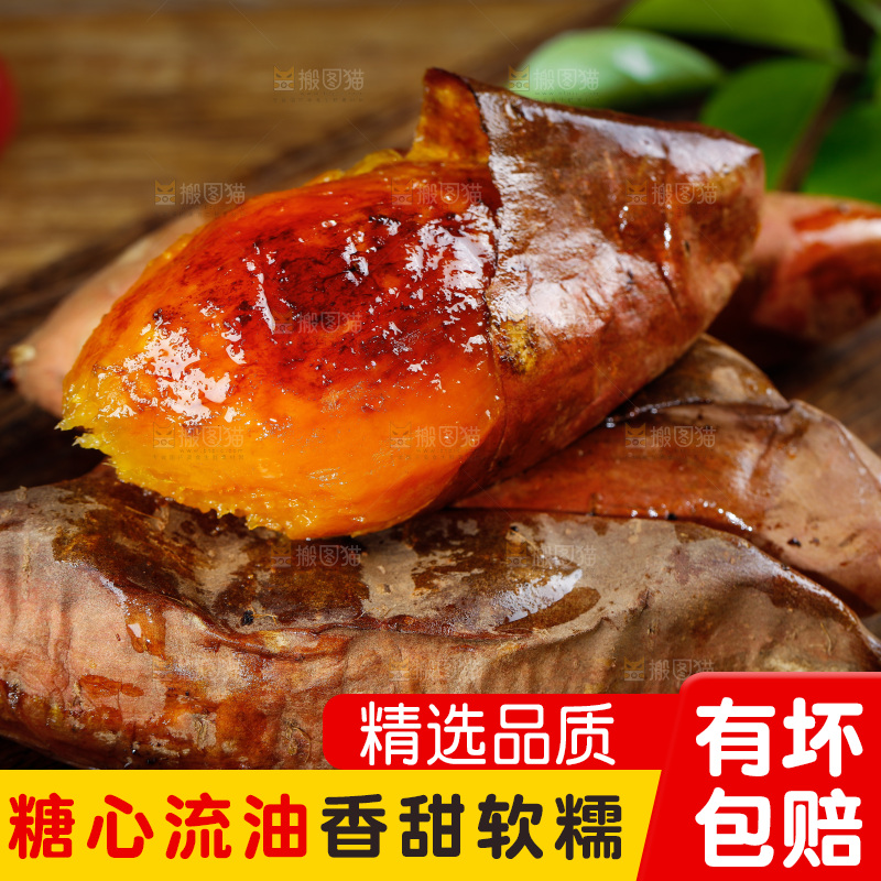 深底上的烟薯25号