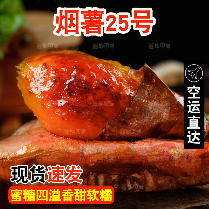深底上的烟薯25号