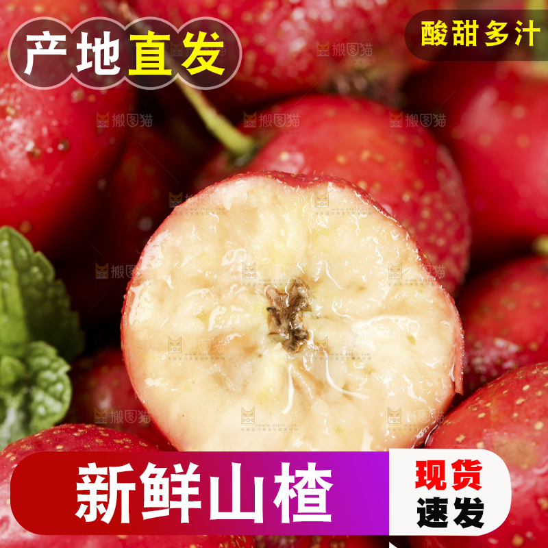 浅底上的新鲜山楂