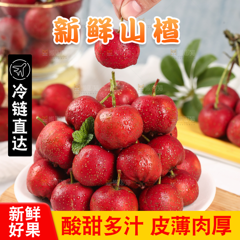 浅底上的新鲜山楂