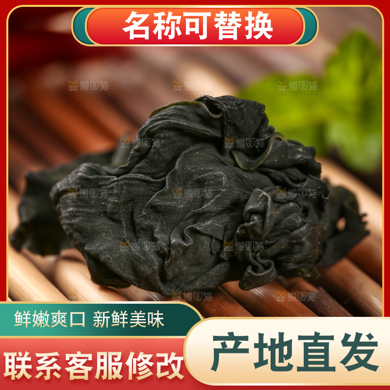 深底上的裙带菜