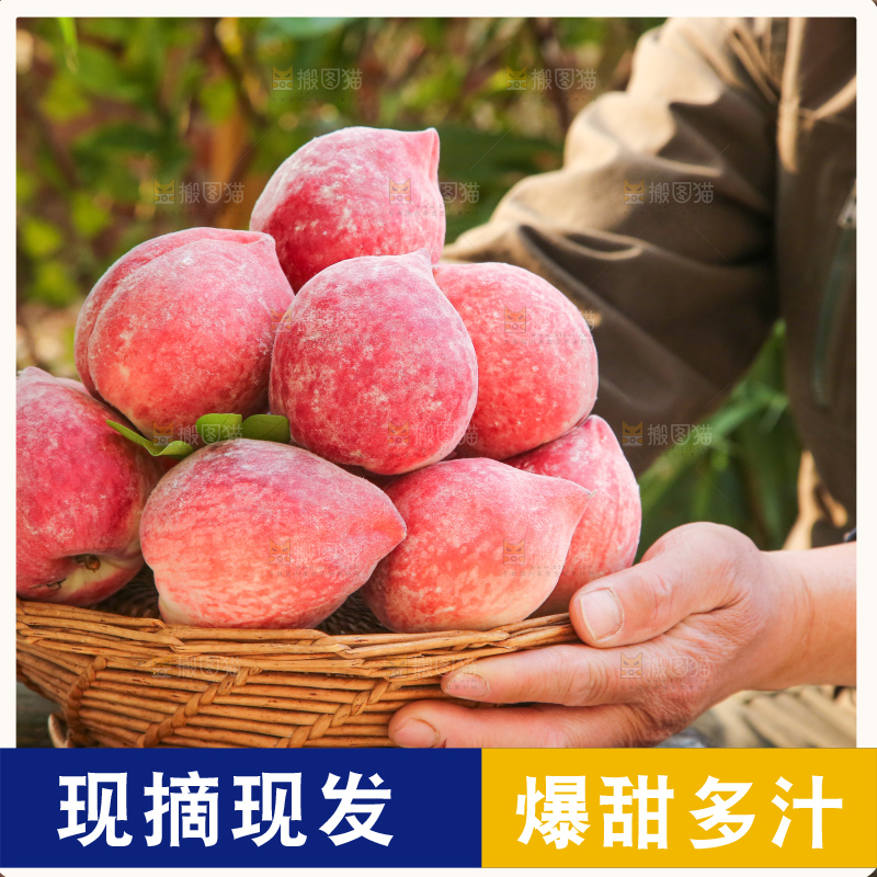 手里拿着春雪水蜜桃