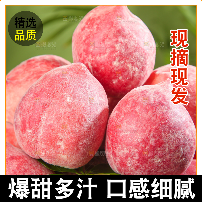 春雪水蜜桃主图