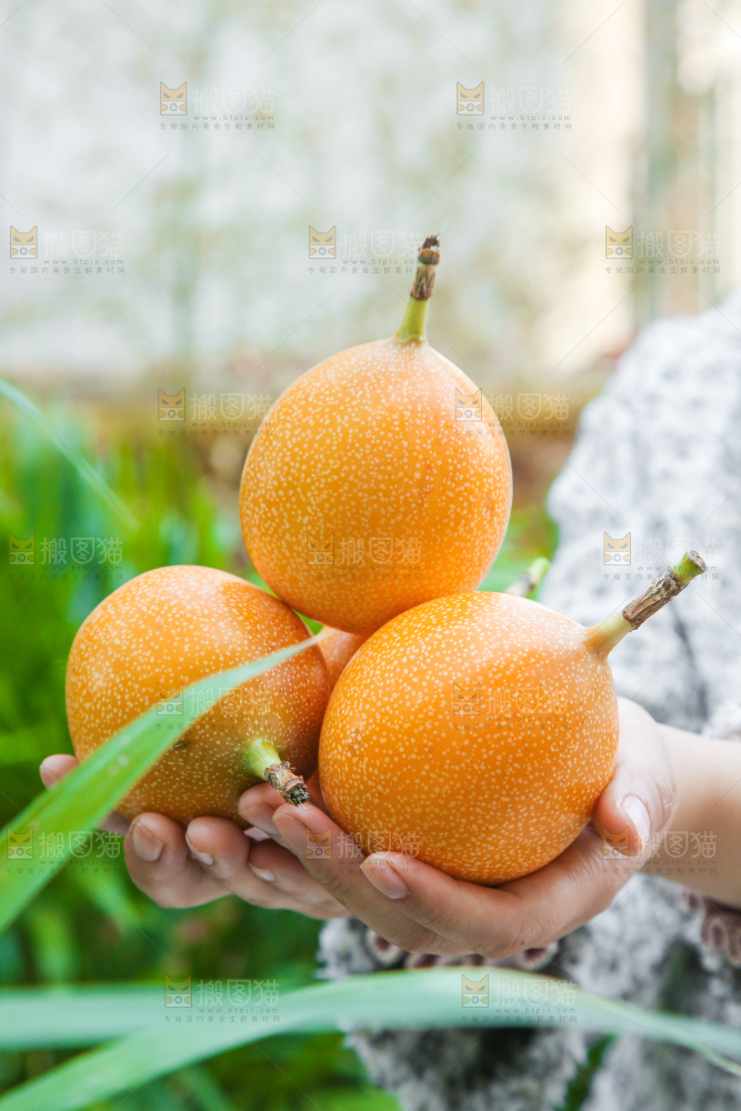 手里拿着热情果