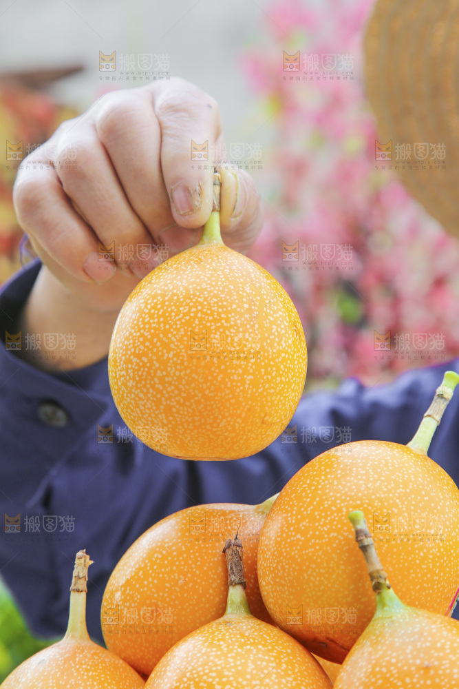 手里拿着热情果