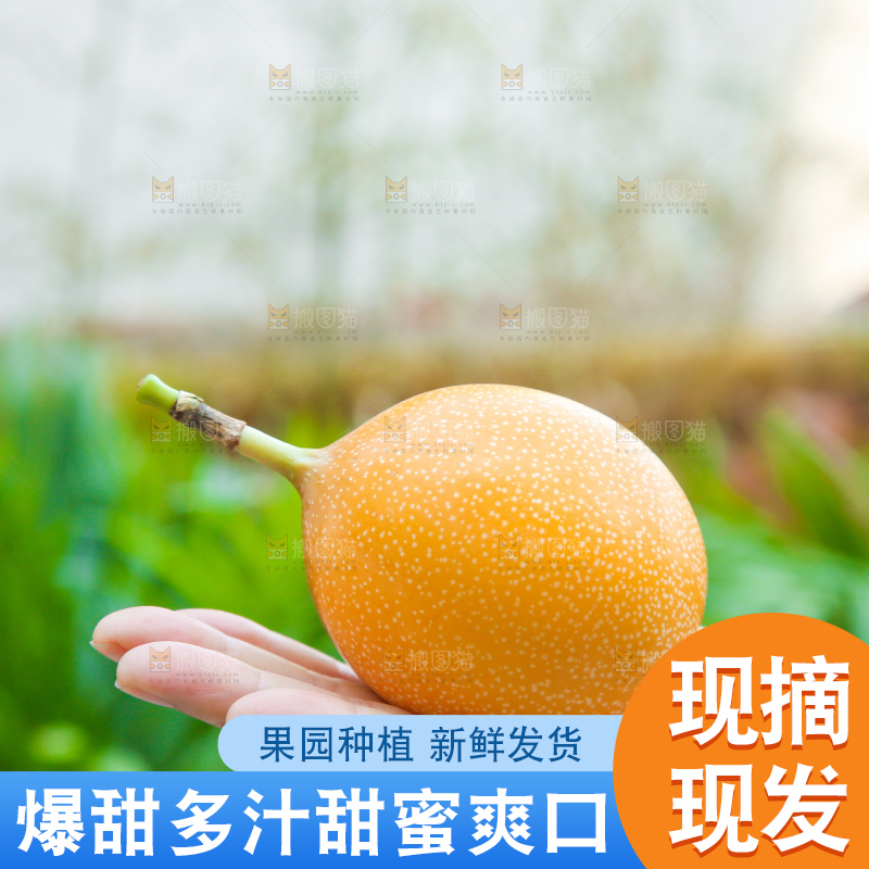 手里拿着热情果