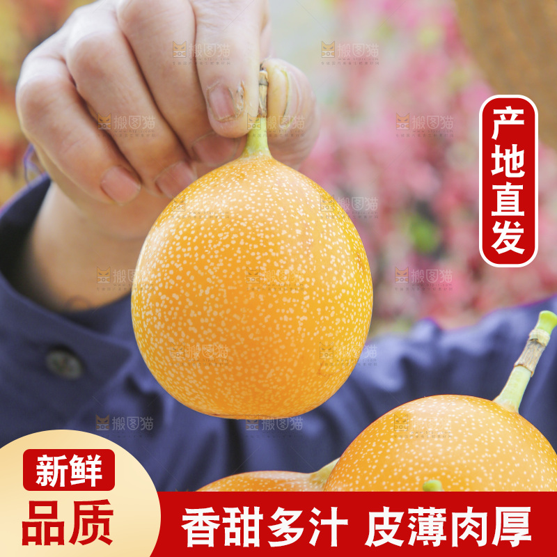 手里拿着热情果