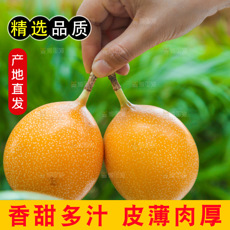 手里拿着热情果