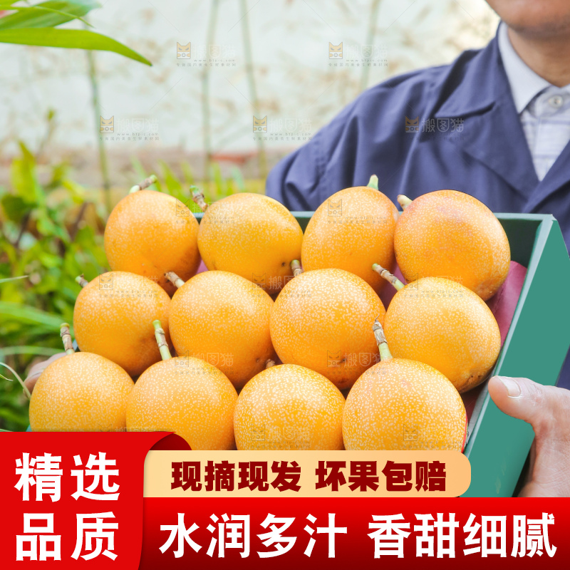 手里拿着热情果