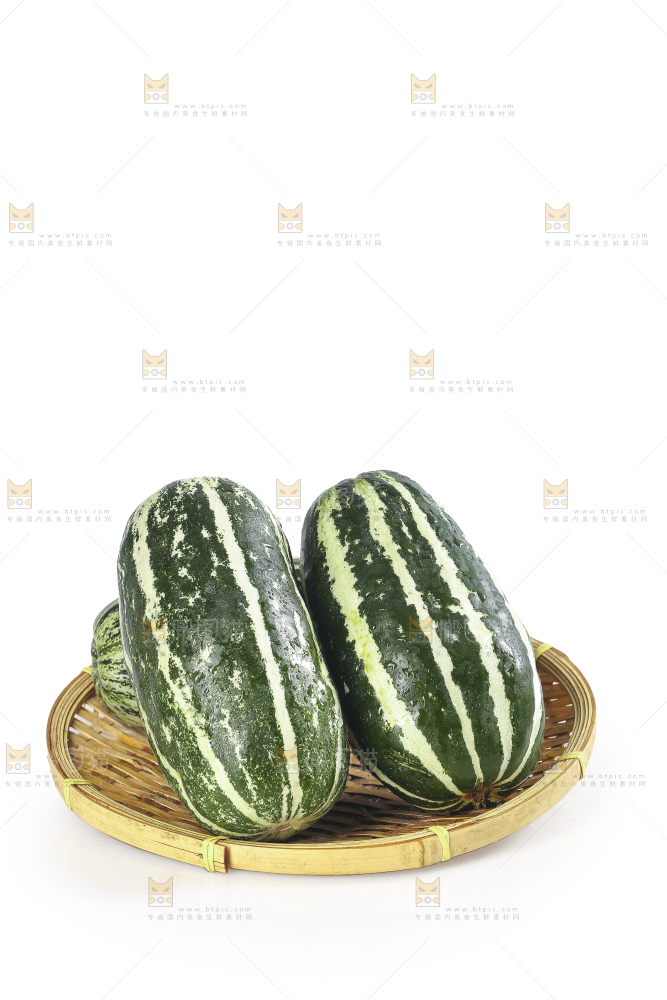 白底上的博洋9号