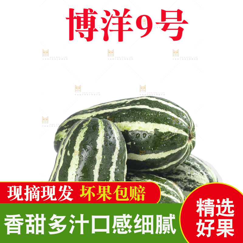 白底上的博洋9号