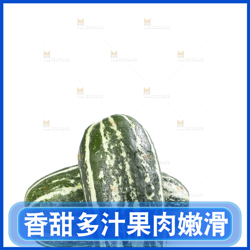 白底上的博洋9号