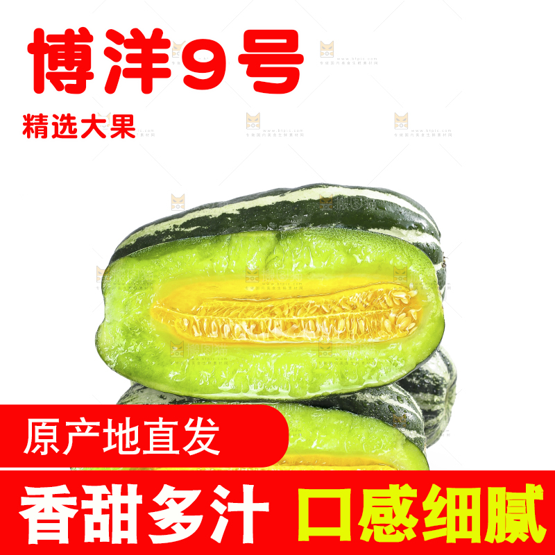 白底上的博洋9号