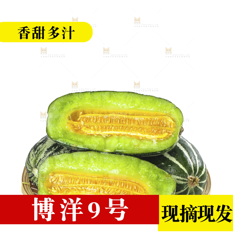 白底上的博洋9号