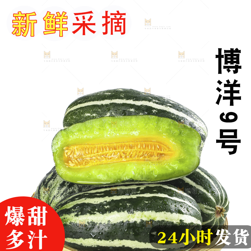 白底上的博洋9号
