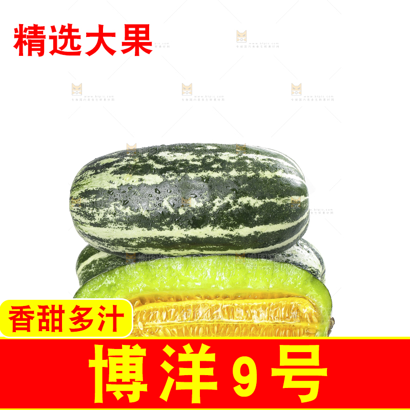 白底上的博洋9号