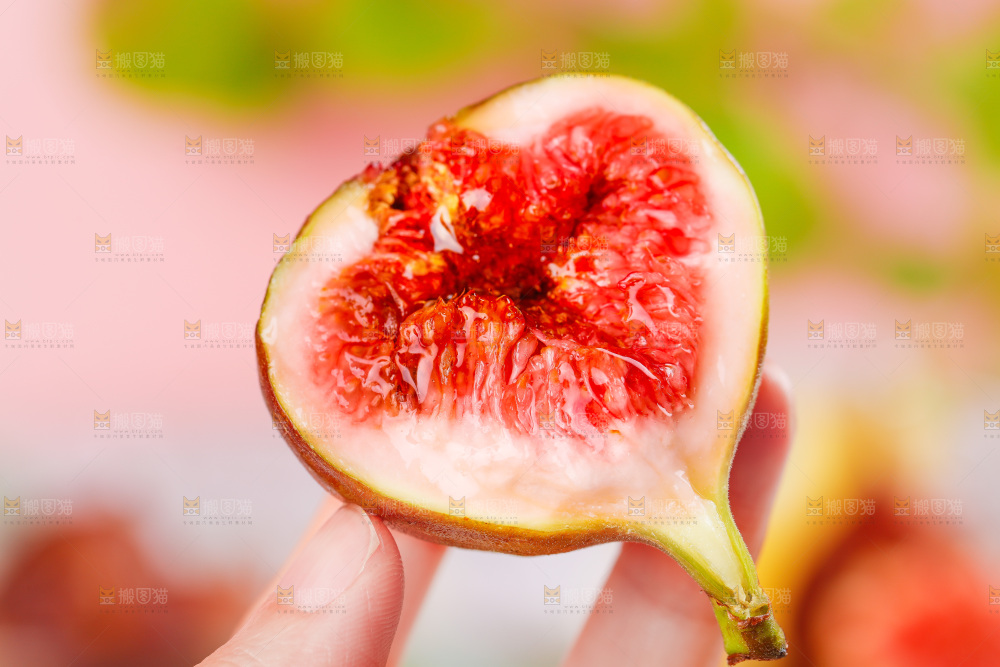 浅底上的无花果