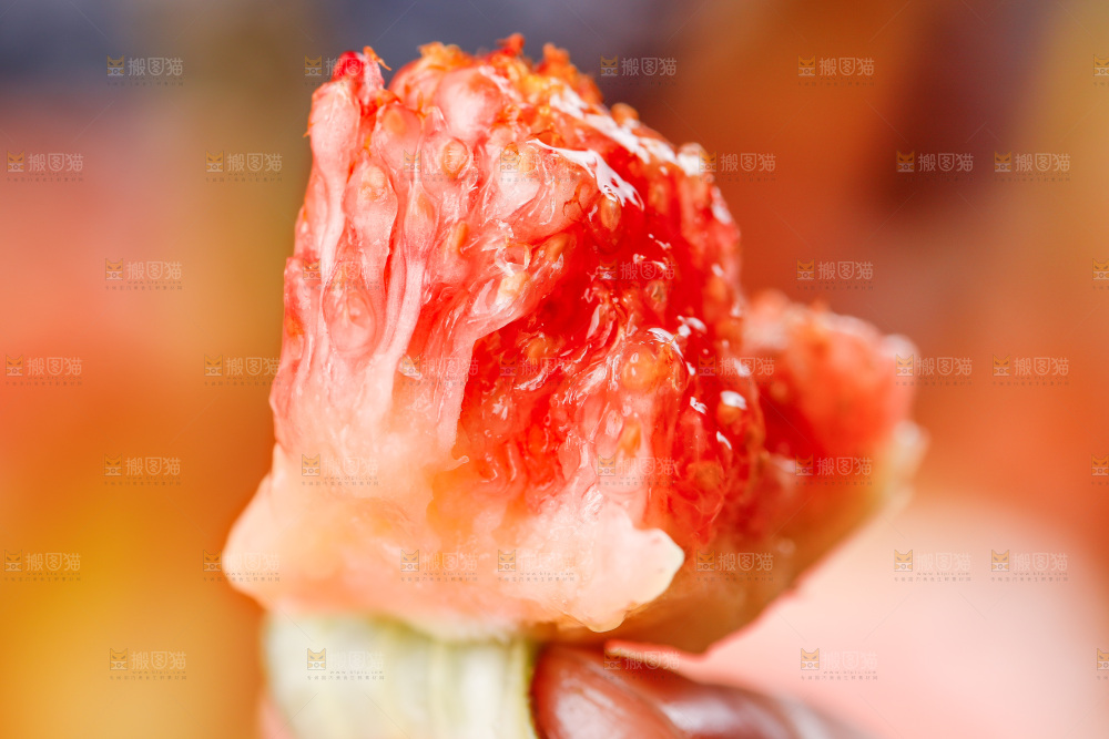 深底上的无花果