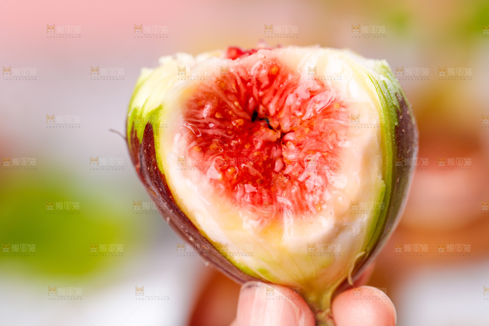浅底上的无花果