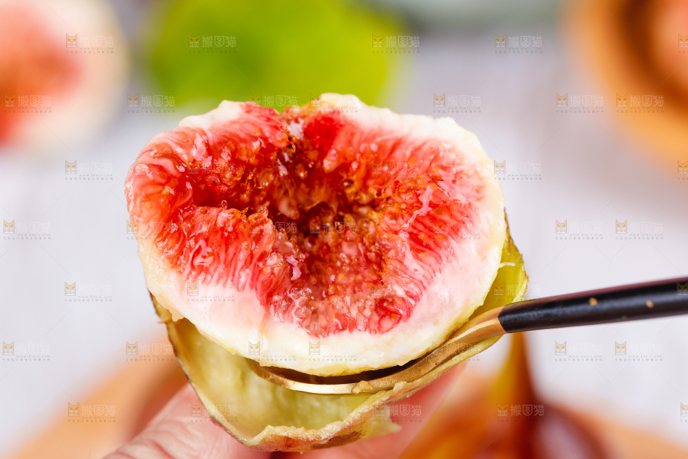 浅底上的无花果