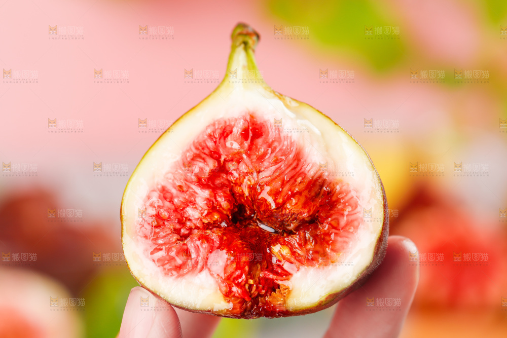 浅底上的无花果