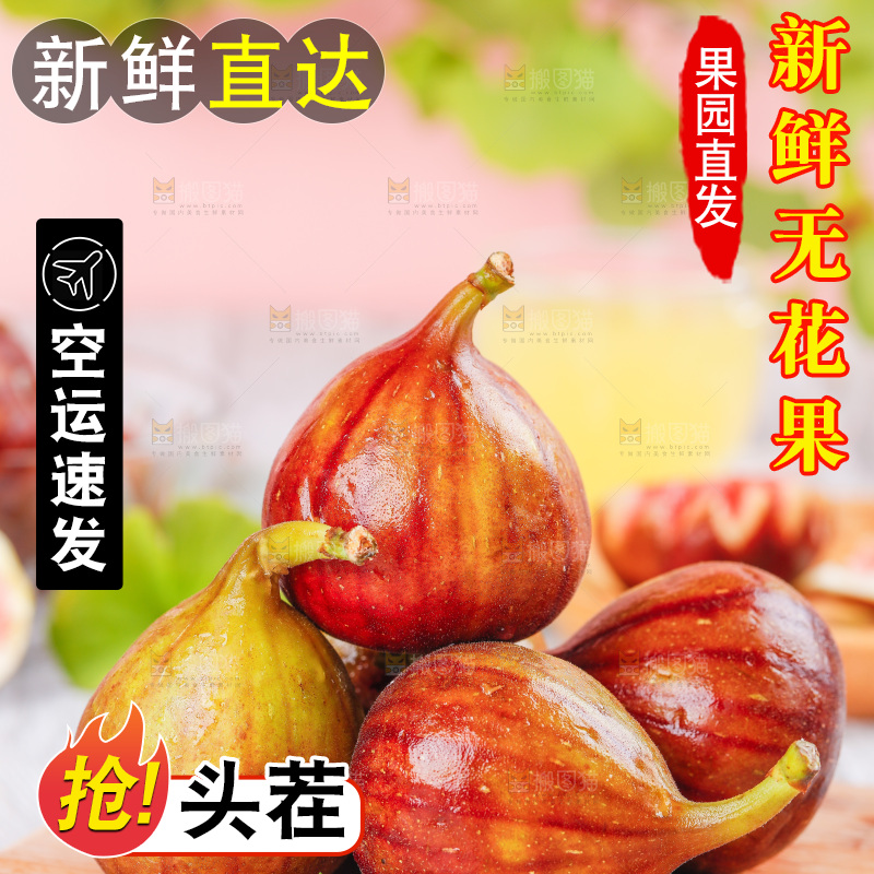 浅底上的无花果