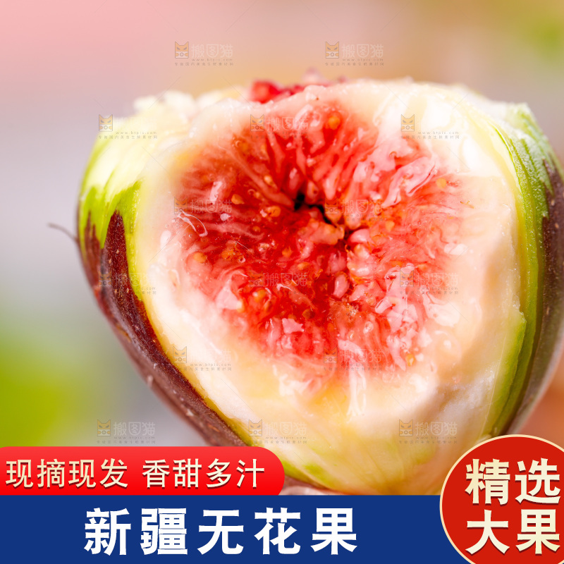 浅底上的无花果