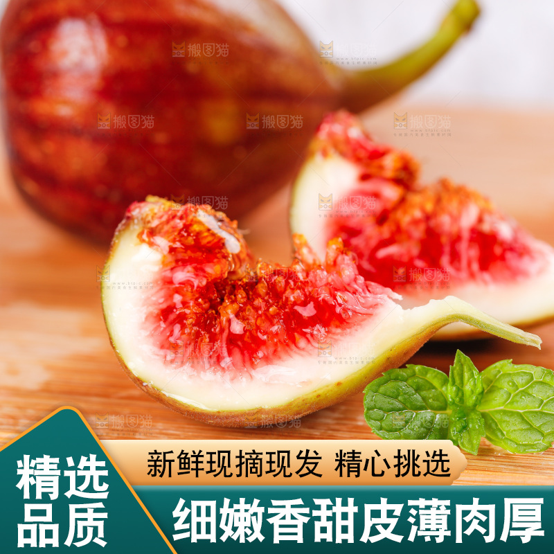浅底上的无花果