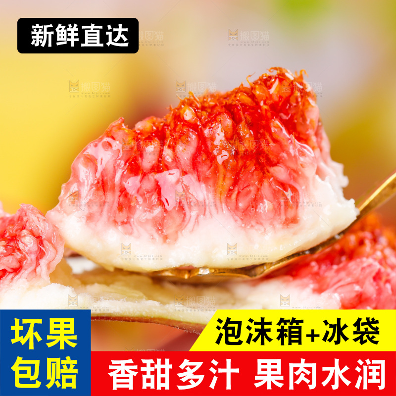 浅底上的无花果