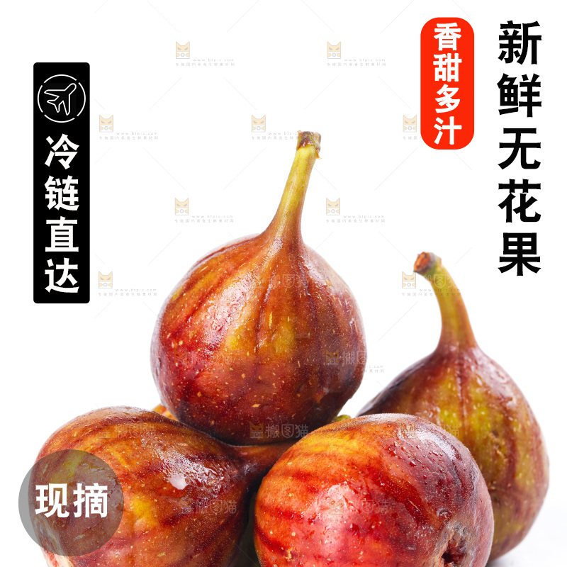 白底上的新鲜无花果