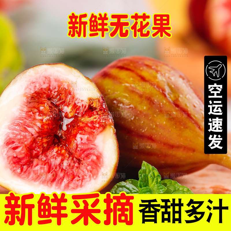 浅底上的无花果