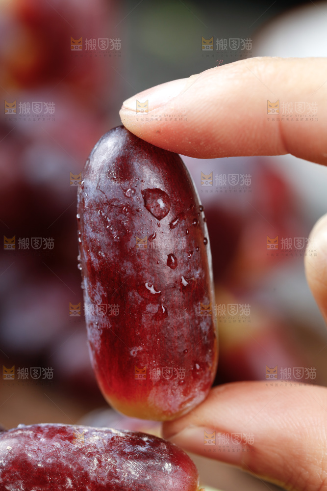 美人指红提