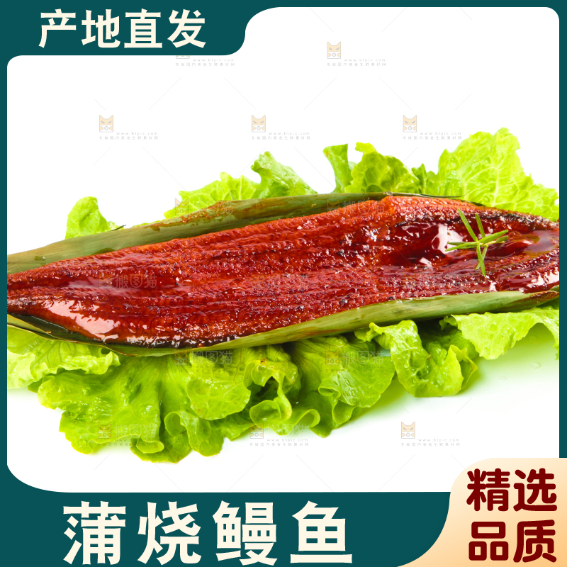 白底上的蒲烧鳗鱼