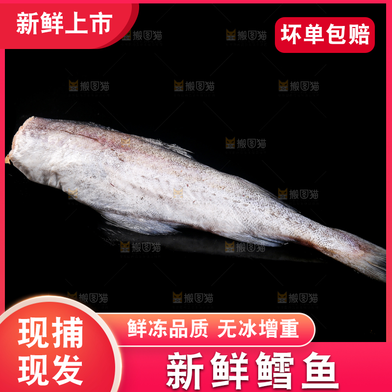 深底上的鳕鱼