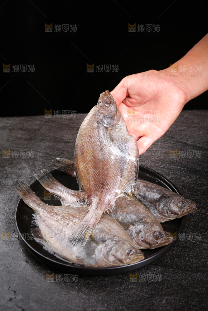 深底上的鲽鱼
