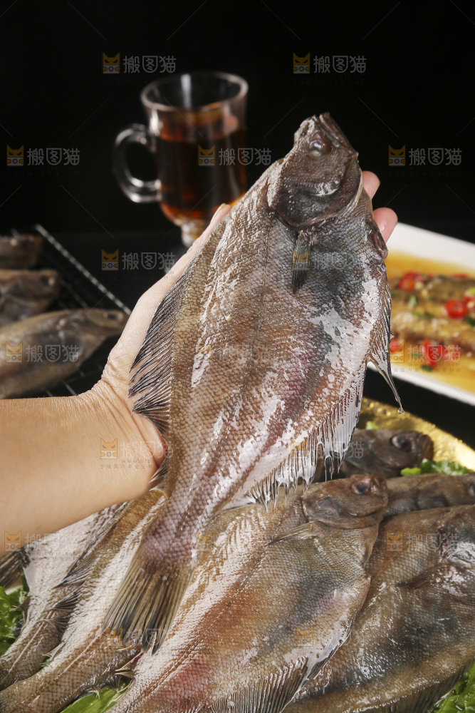 深底上的鲽鱼