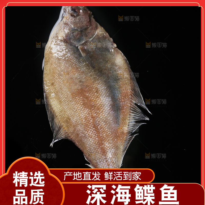 深底上的鲽鱼