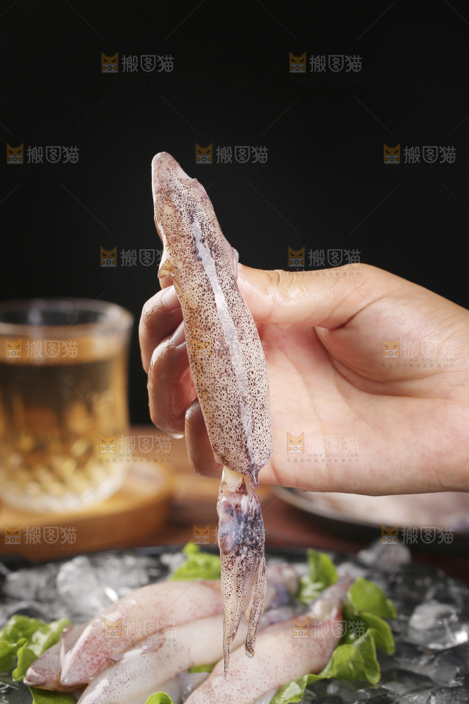 深底上的海兔