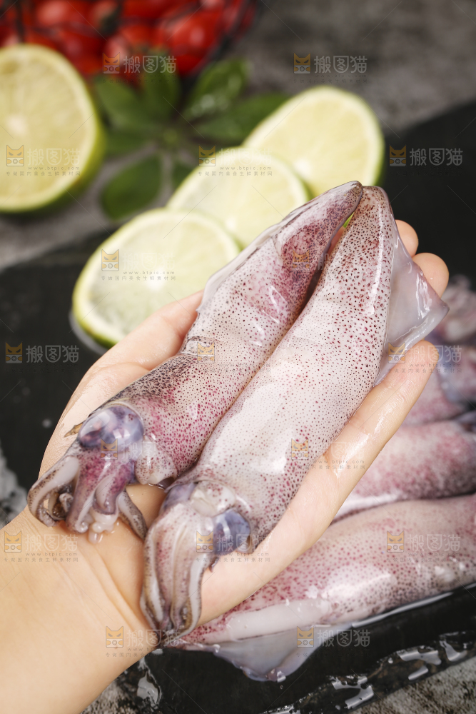 深底上的海兔