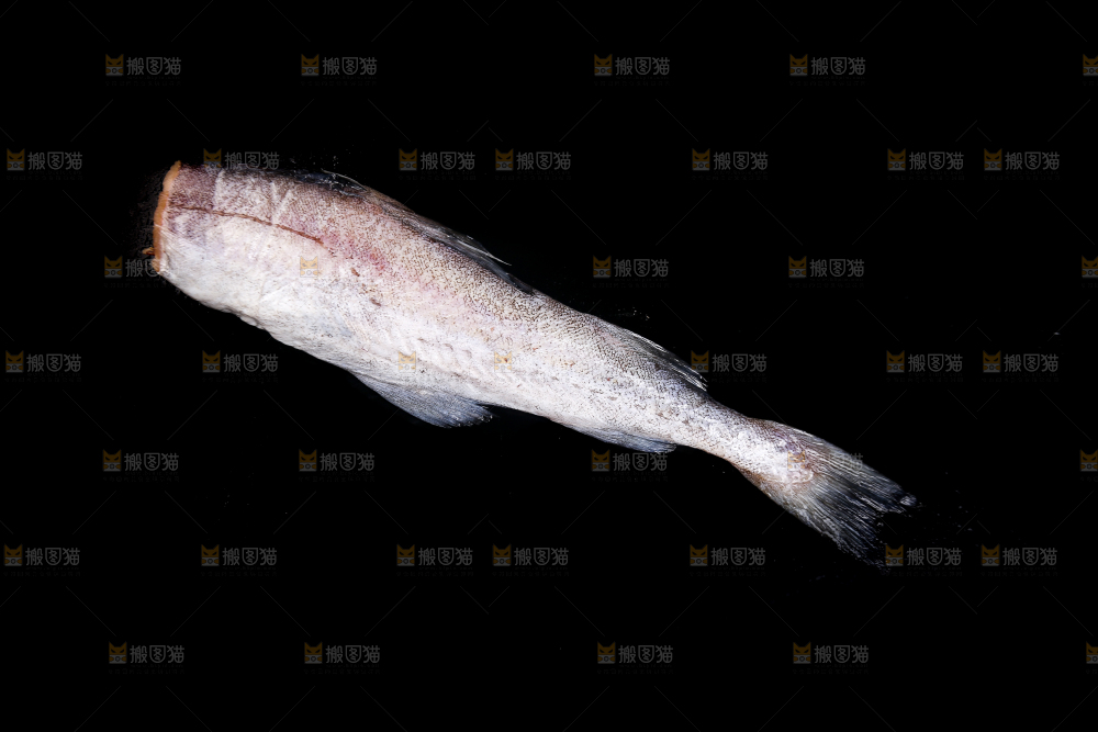 深底上的鳕鱼