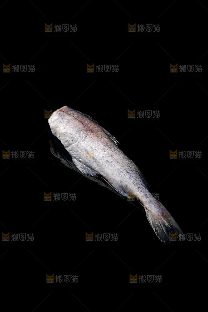 深底上的鳕鱼