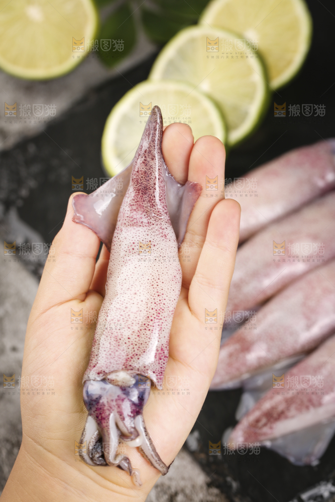 深底上的海兔