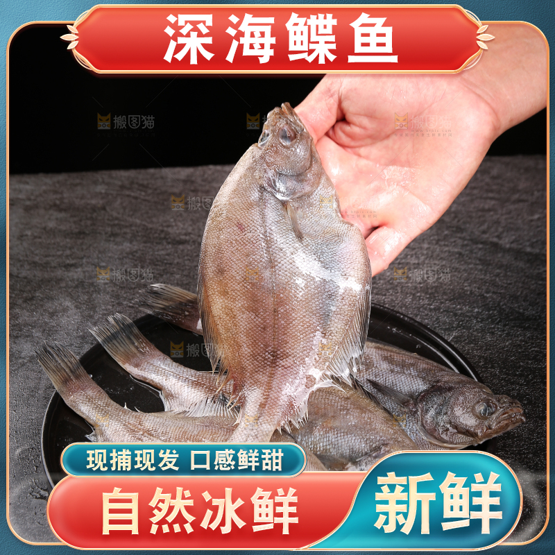 深底上的鲽鱼