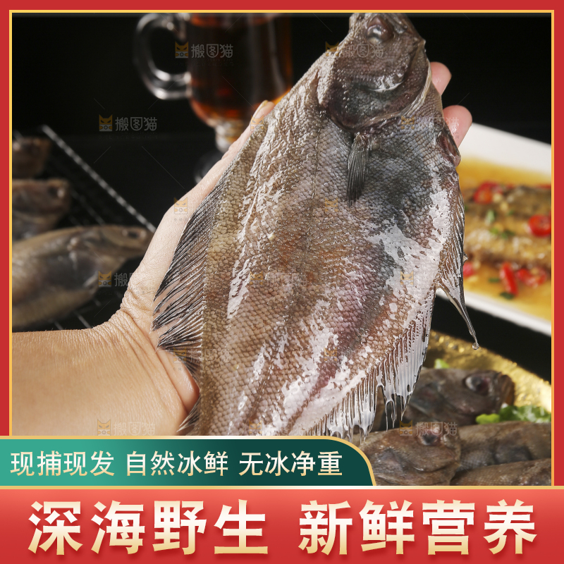 深底上的鲽鱼