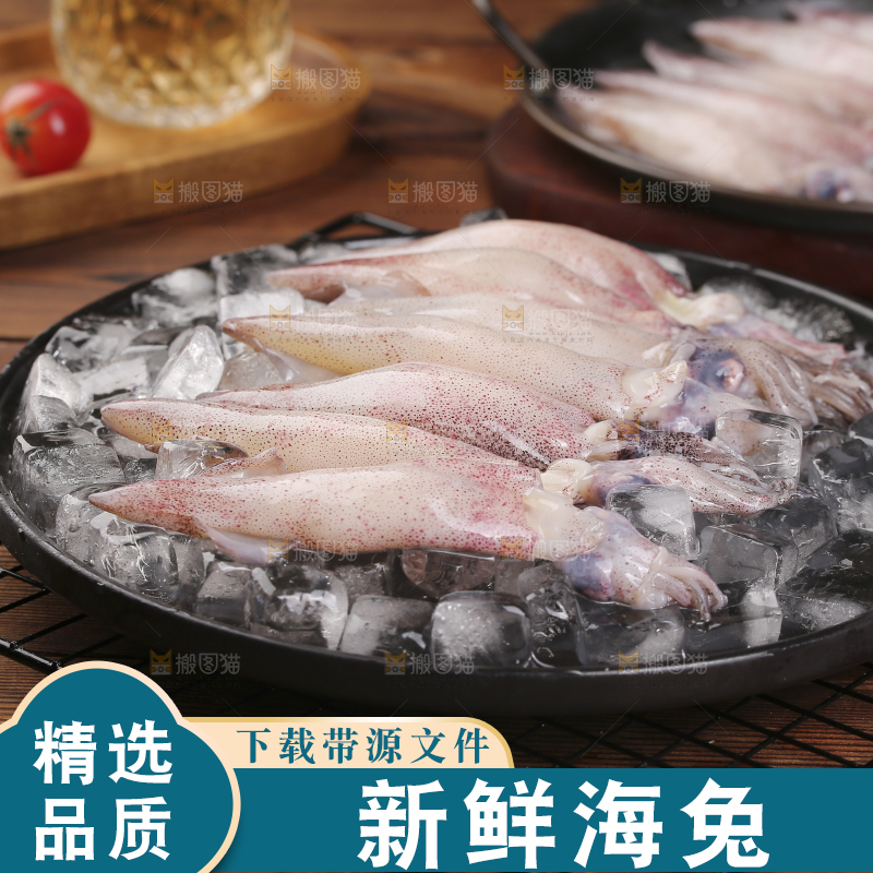 深底上的海兔