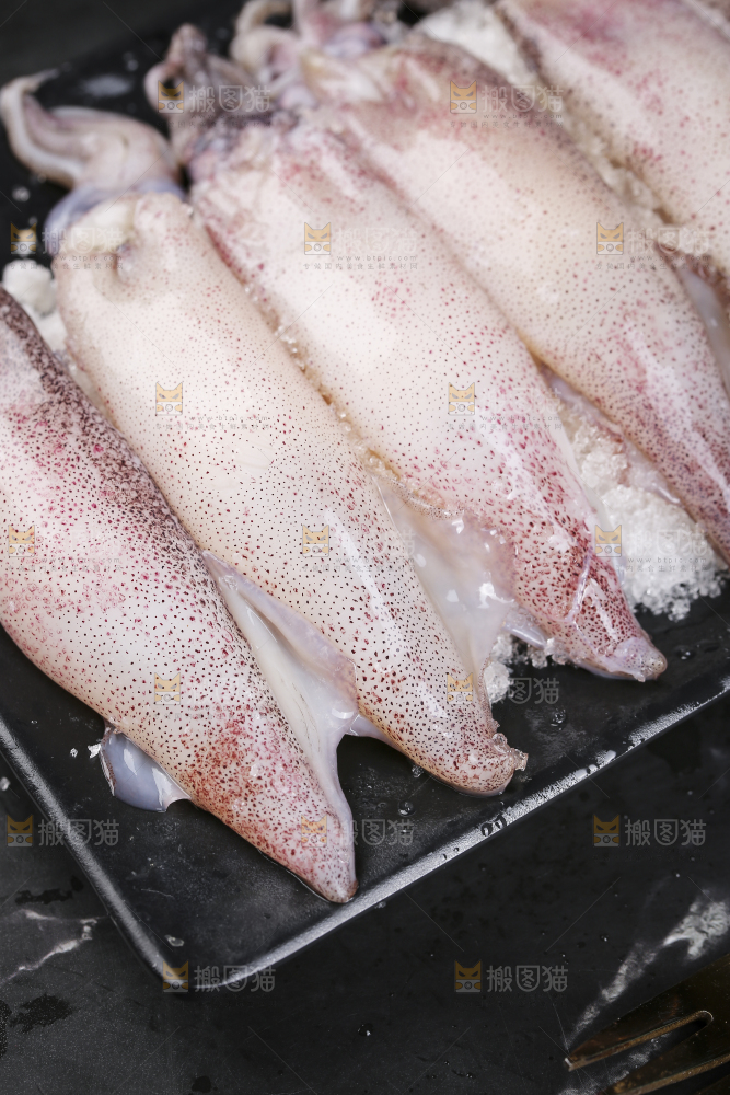 深底上的海兔